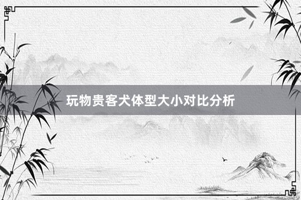 玩物贵客犬体型大小对比分析