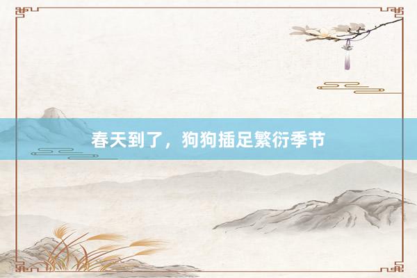 春天到了，狗狗插足繁衍季节